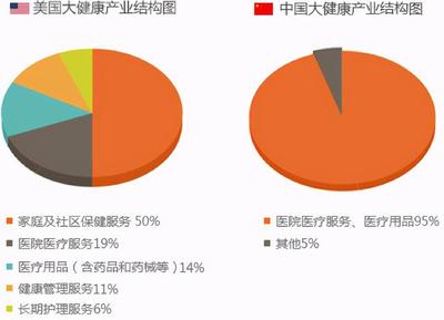 大健康项目投资加盟 把握未来市场的巨大潜力